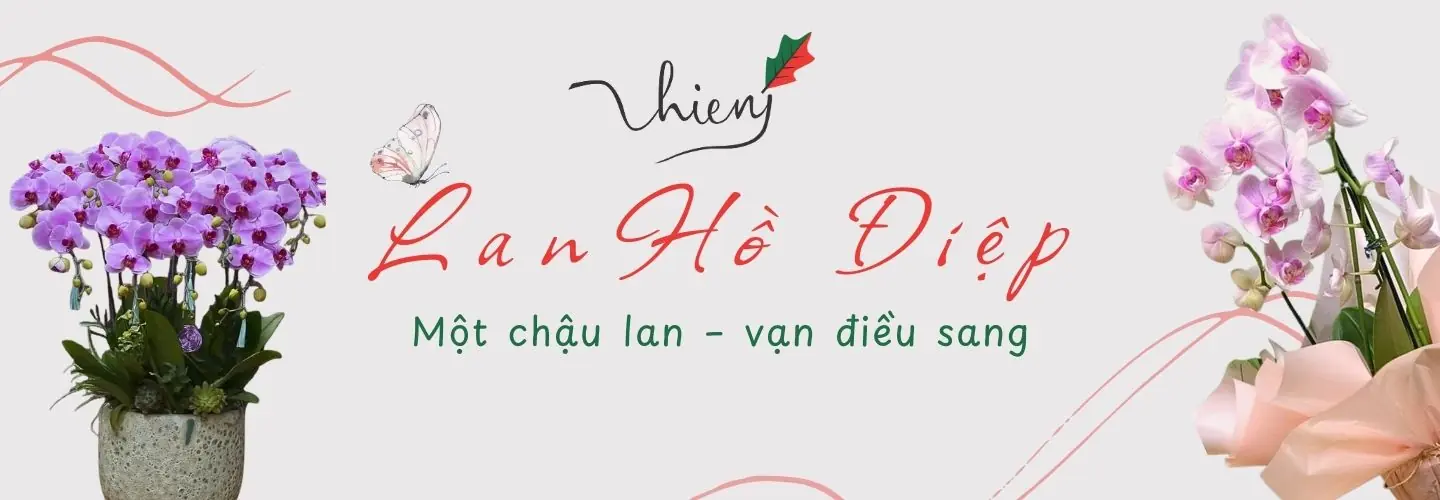 Hoa Tươi Thiên Ý